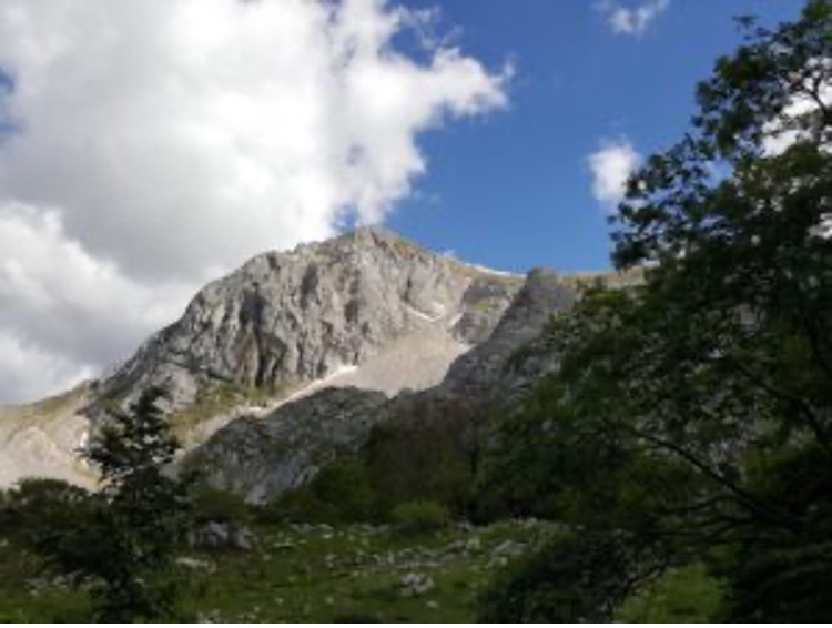 Vacanze Ottoriniane 2025